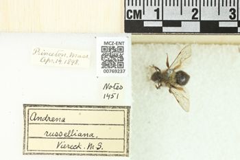 Media type: image;   Entomology 769237 Aspect: Labels
